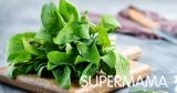 فوائد الميرمية للحمل بتوأم 